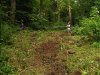 Расширенная тропа в сторону реки Синяя. Самое широкое место - 6.5 метра